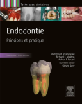 Endodontie vignette